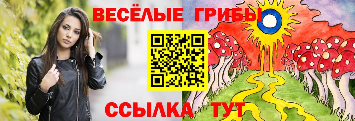 Псилоцибиновые грибы ЛСД Краснознаменск